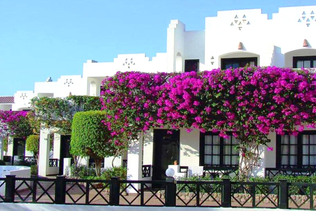 Verginia Sharm Resort & Aqua Park